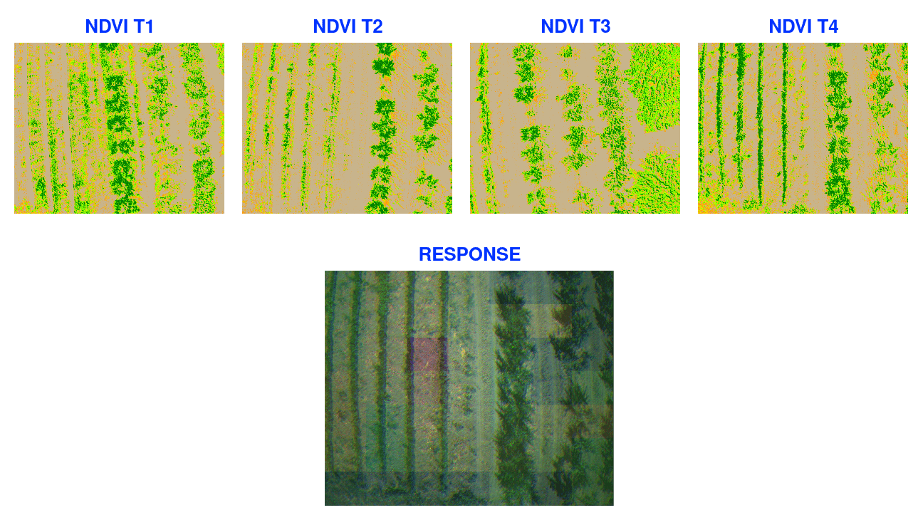 Ellipsis raster example 